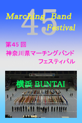 FESTIVAL